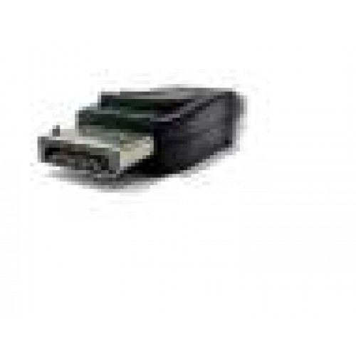 CAVO ADATTATORE DISPLAYPORT CONNETTORI DP MASCHIO - DVI-D(24+1) MASCHIO MT. 2