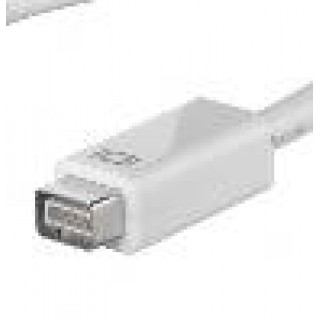 ADATTATORE MINI DVI MASCHIO - HDMI FEMMINA