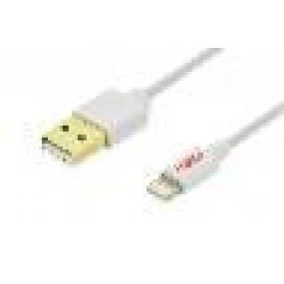 SET CARICATORE DA AUTO PER APPLE CON CAVO 1 MT
