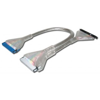 CAVO ROTONDO IN PVC INTERNO SCHERMATO 3 CONNETTORI ATA 100-133 - 40 POLI - 80 CONDUTTORI - AWG30 CM. 45